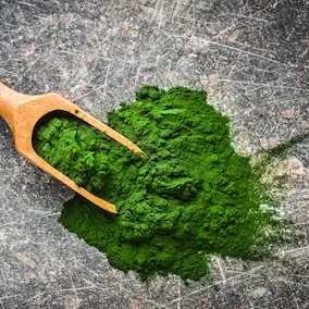 Chlorella Algae in NeuroPrime