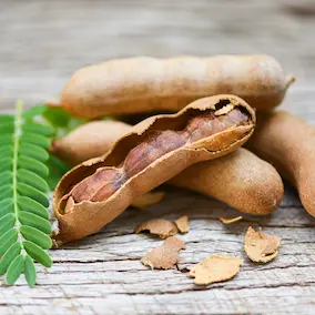 Tamarind Seed Extract in NeuroPrime